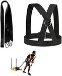 OYINDIZ Sled Harness, Weight Speed 