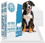 Bulldogology Pee Pads for Dogs XL with Adhesive Sticky Tape (24x35) Dog Puppy Pads Extra Large, Disposable Puppy Pads, Dog Training Wee Pads 6 Layers with Bullsorbent Polymer Tech (40-Count, White)