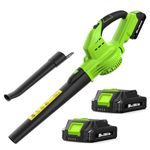 Leaf Blower Cordless with Battery and Charger - Anykit Electric Leaf Blower Battery Operated, Blower Cordless 20V 2 Speed Modes Handheld for Lawn Care Green