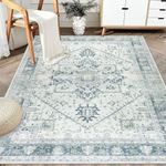 Washable Accent Rugs