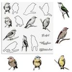 Birds Cutting Dies and Clear Stamps Animals Clear Stamps with Die Cuts for Card Making, Thankful Words Animal Embossing Stencil Template Tool for DIY Scrapbooking Photo Album Card Craft Decoration