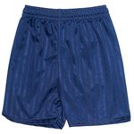 ND Sports School Gym Games Shadow Stripe Shorts for 5-6 Years, Navy Blue, 5832