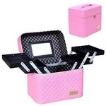 Viulvuk Professional Vanity Case with Multiple Compartments for Girls | Cosmetic Bag with Mirror for Travel | 2 Layer Both Side Open Tray | Portable Toiletry Kit Storage Makeup Box for Women (Pink)