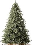 Balsam Hill 6.5ft Unlit Classic Blu