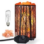 Shineled Salt Lamp, Himalayan Salt Lamp, Natural Salt Rock Lamp Desk Bedside Table Lamp Night Light in Forest Design Metal Basket with Dimmer Switch, Festival Decor