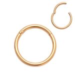 4youquality Surgical Steel Nose Ring Septum Clicker Hinge Segment Ear Helix Tragus Ring Hoop Nose Rings (Gold, Size 1.0 * 6mm Tiny)