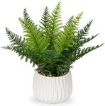 DILATATA Faux Plant Indoor in Ceramic Pot 13" Artificial Potted Fern Fake House Plants for Desk Office Bathroom Garden Decoration