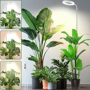 Plant Grow