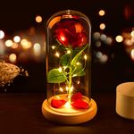 Beauty and The Beast Rose, Eternal Rose in Glass Dome, Enchanted Rose Glass with Pine Base LED Lights, for Birthday, Wedding Anniversary, Thanksgiving, Christmas, Valentine's Day, Mother's Day