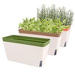 OurWarm Windowsill Herb Planter Box Indoor Set of 3, 10.5 Inch Self Watering Planter Pots with Visual Water Level Window, Plastic Plant Pots for Herbs, Vegetables, Succulents Plants