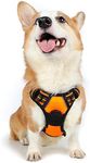 Rabbitgoo Dog Harness No-Pull Pet H