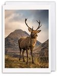 Neil Barr Scottish Highlands Red Deer Stag - Scotland Greeting Card by Scottish Landscape Photographer Blank Inside