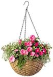 Panacea+6+82305+Woven+Resin+Hanging+Baskets%2c+Wicker%2c+14%22+Dia.6