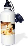 3dRose Print of a Cute Puppy. - Sports Water Bottle, 21oz (wb_220617_1)