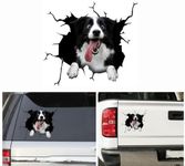 3D Dog Window Decals for Cars Funny Dog Decal Car Decoration Sticker for Car Waterproof Car Cracking Sticker Personalized Decor for Wall Window Truck (Border Collie-A)