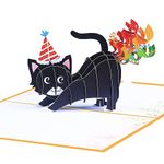 ROBBEAR Funny Cat Pop Up Birthday Card, Funny 3D Birthday Cards for Adults and Kids with Envelopes, Handmade Gifts for Cat Mom, Dad, Friend and Every Cat Lover