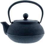 Iwachu 480-161 Japanese Iron Tetsub