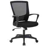 FDW Mesh Computer Rolling Swivel Modern Executive Chair Adjustable Stool Back Support for Adult ，Black