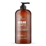 Botanic Hearth Argan Shampoo, Hydrating & Volumizing, for All Hair Types and for Men and Women 16 fl oz