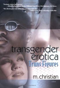 Transgender Erotica: Trans Figures (Southern Tier Editions)