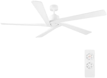 WINGBO 64"