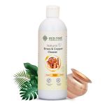 ECOROOT Brass & Copper Cleaner Liquid 500ml – Eco-Friendly Natural Bioenzyme Formula for Pooja Items, Utensils & Drinkware – Non-Toxic, Plant-Based Metal Cleaner – Safe for Diyas & Kitchen Use