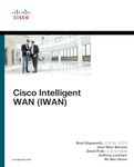 Wan Networking