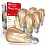 Sengled Smart Edison Bulb, Zigbee Hub Required, Smart Bulb Work with Alexa, Google Home, SmartThings, Echo 4th, Amber Warm 2000K, Dimmable Vintage Filament Bulbs, 7.2W, E26 LED Bulb 60W, ST19 6 Pack