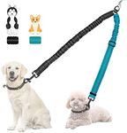 Nasjac Double Dog Leash Coupler, No Tangle Split Lead for Walking 2 Pet Dogs, Adjustable Reflective Safety Shock Absorbing Bungee Leads Splitter for Training Dual Doggy, Medium & Large Breeds