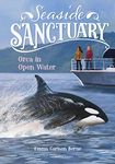 Orca in Open Water (Seaside Sanctuary)