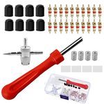 Lanjue Tyre Valve Repair Kit, Schrader Valve Tool Valve Core Remover Tool for Car Bicycle Auto