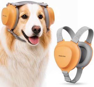 PAWLYRA Pr
