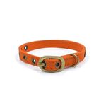 PetWale Orange Cat Collar