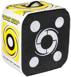 Field Logic Black Hole Archery Target 18"