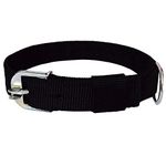 Sage Square Adjustable Double Strip Collar for Medium Dog/Cat/Puppy/Kitten (Random Colour, 1.25 Inches)