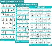 Vive Workout Posters (3 Pack) - Bod