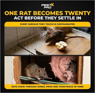 Pest X Pro Rat Trap Box 2-Pack – Secure Rodent Control