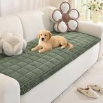 Royhom Pet Sofa Cover Washable, Soft Thick Sofa Cover 2 3 4 Seater, Couch Protector for Dogs, Settee Covers Furniture Slipcovers (Green, 70x150cm)