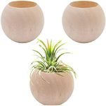 Nwsrayu 3 pcs Wood Air Plant Holder Air Plant Pots Air Plants Display Containers Table Centerpiece Succulent Plants Pot for Home Office Tabletop Decor