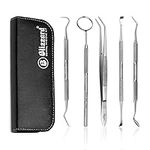 Dental Tools by Blizzard - Plaque R