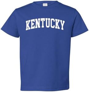 State of Kentucky Style White Fashion Toddler Crew Graphic T-Shirt, Royal, 4T