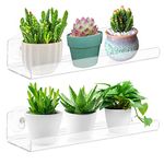 12 Suction Cup Shelf for Plants Window, NTS, Window Plant Shelves, for Succulent Planters, Herb Pots, Indoor Plants