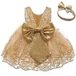 Baby Princess Girls Embroidery Dres