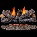 Duluth Forge Ventless Dual Fuel Log