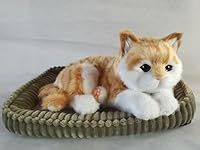 PawFection Pets Orange Tabby Cat, R