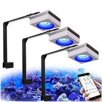 PopBloom 3 x RL90 WiFi Aquarium LED Reef Light, Marine Aquarium Lamp for 130cm-170cm SPS/LPS Coral Reef Growing Fish Tank, Smart APP Control (3 WiFi lamp with arm kit)