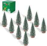 10PCS 4inch Mini Snow Frost Trees M