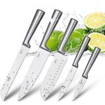 HUIKAILI Kitchen Knife Set Professional Knife Set Stainless Steel with Gift Box, Sharp, Non-Slip, Frosted Handle, with Santoku, Chef's Knife, Bread Knife, Universal Knife, Paring Knife