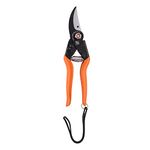 FALCON Garden Tools Pruning Secateur Major (Size 225mm, for Professionals)