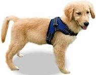 Copatchy Dog Harness Medium Sized D